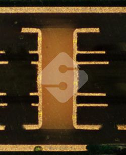 东升国际官网-相信品牌力量