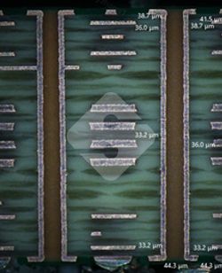 东升国际官网-相信品牌力量